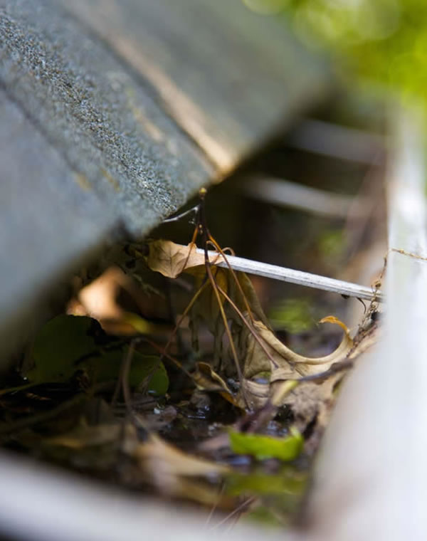 Gutter Pressure Washing Services Waterford, WI